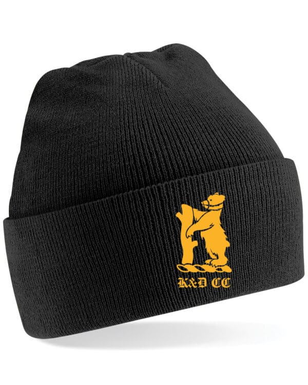 Beanie Hat  B45.jpg