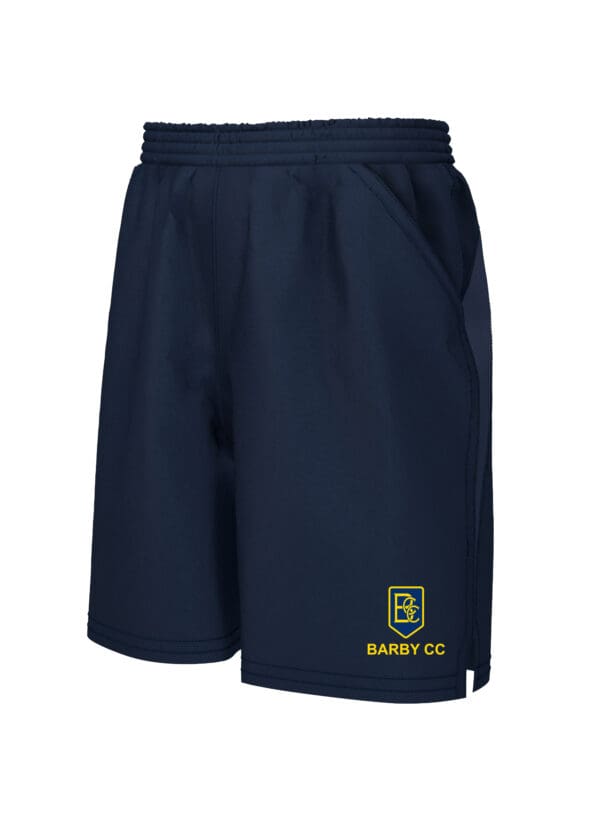 Shorts H671 Navy.jpg