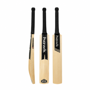 XB500 Cricket Bat Series 4 Players Edition