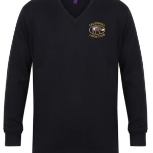 V Neck Sweater 720 - Navy -  Calverhall cc