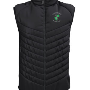 Gillet   (E870)  Black - Hampton in Arden cc